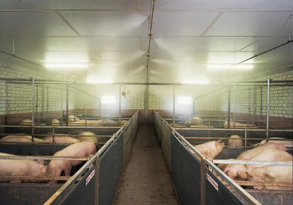 除了运用除臭剂，还有7种办法进行新疆养猪场除异味