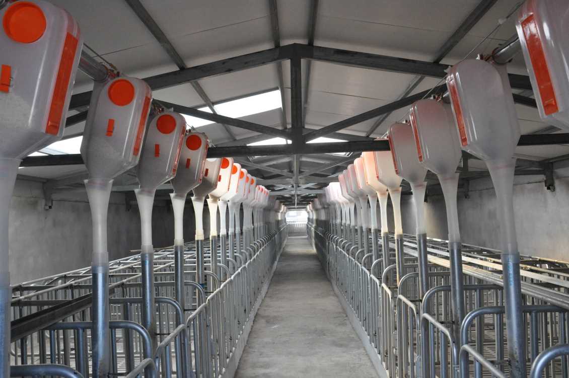 要怎样进行新疆养猪场除臭？