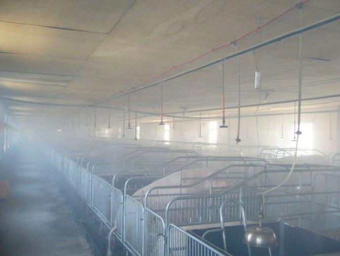 分享四大新疆养殖场除臭办法，看哪个更有用？