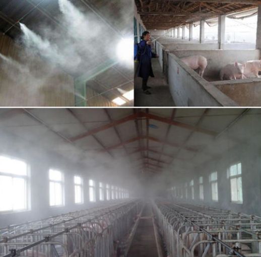 新疆养猪场除臭剂管用吗？养猪场臭气熏天怎么办？