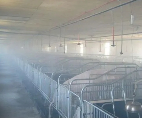 如何确保新疆养殖场除臭过程对动物友好？